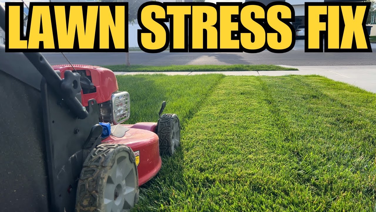 How I Fix My Lawn with Liquid Lawn Fertilizer – Best Lawn Care Tips