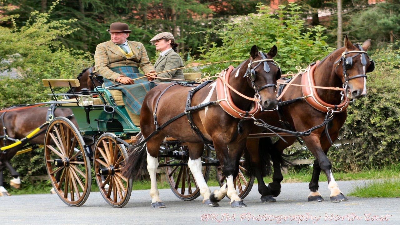 Attelage Horse Weekend 2024 Beamish Museum (Part 1) #beamish #horse #horsemanship #horseshow