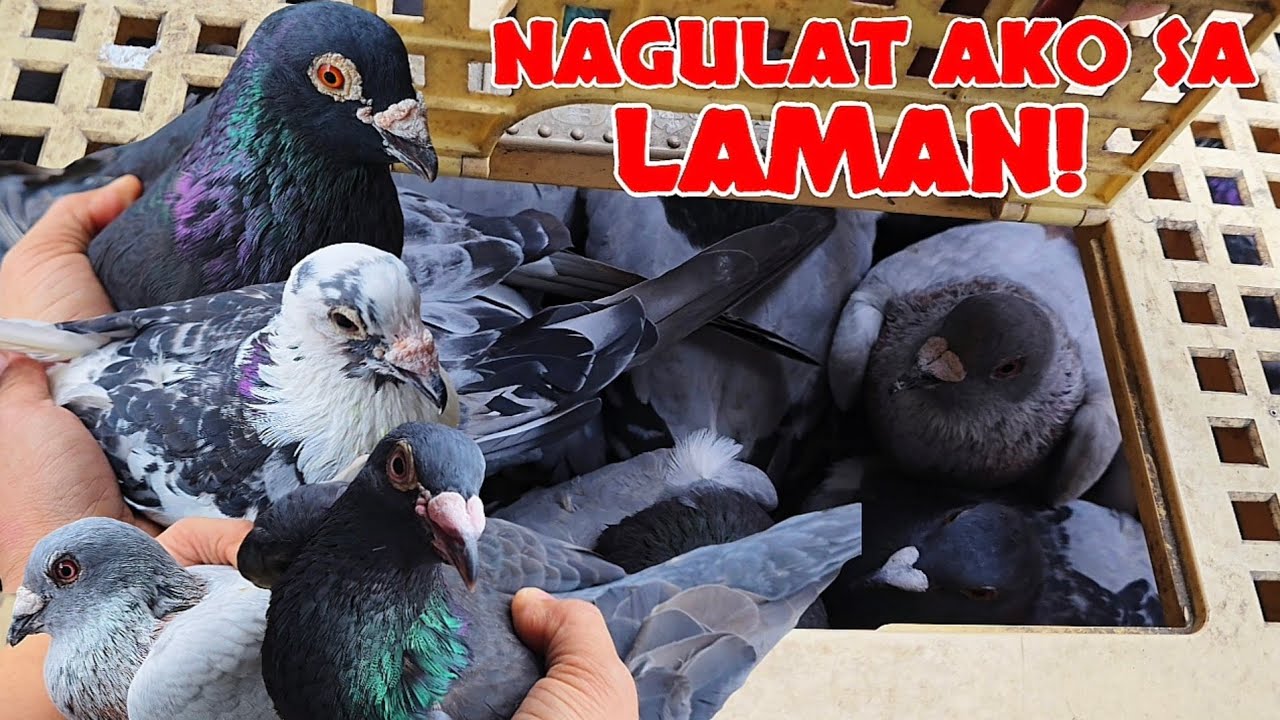 ASTIG pala lahat ng laman!