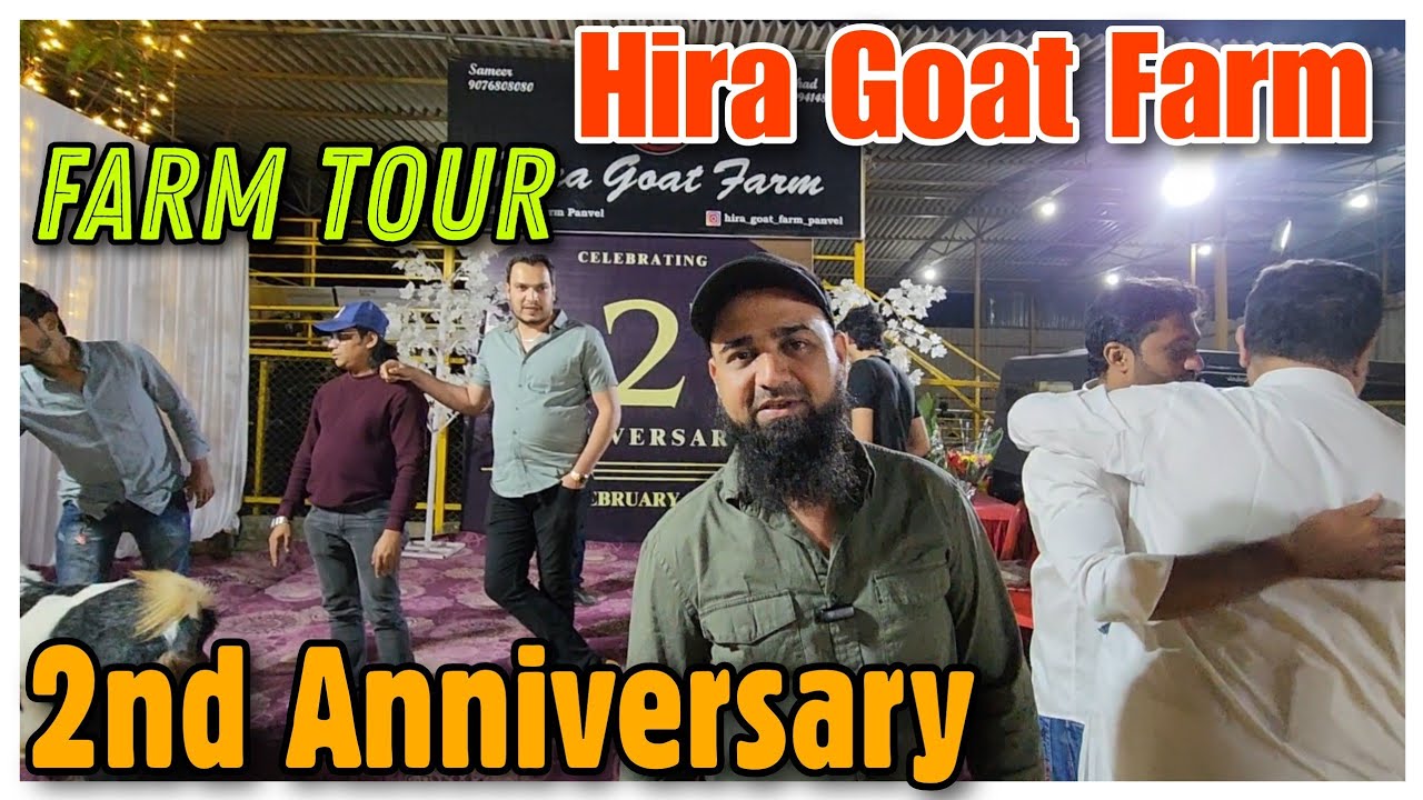 Hira Goat Farm 2nd Anniversary Full Farm Tour | Goat Fatming Kaise Karen In Pavel |@Rizwankranti