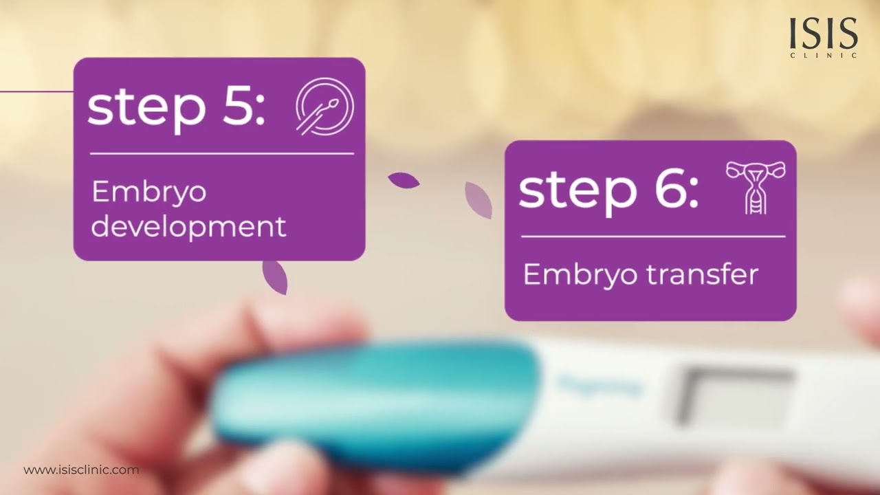 IVF Step-by-Step Process. What to expect during an IVF Cycle? - ISIS Clinic Cyprus