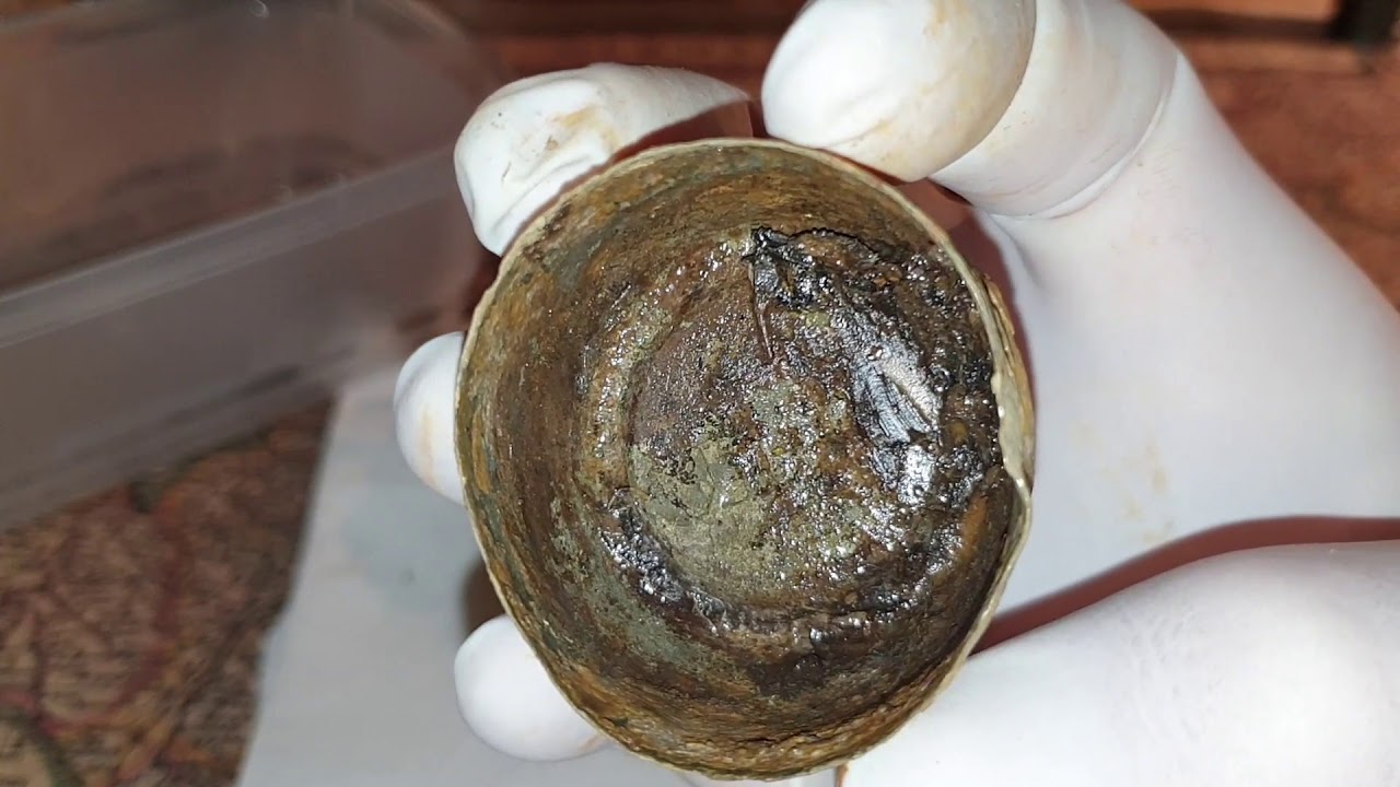 Sondeln Reinigung mit Oxalsäure 24 Stunden später