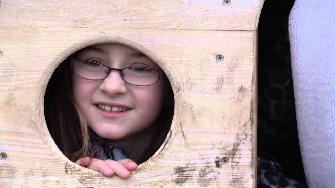 Bees, bugs and apple trees: nature-inspired youngsters plant community orchard
