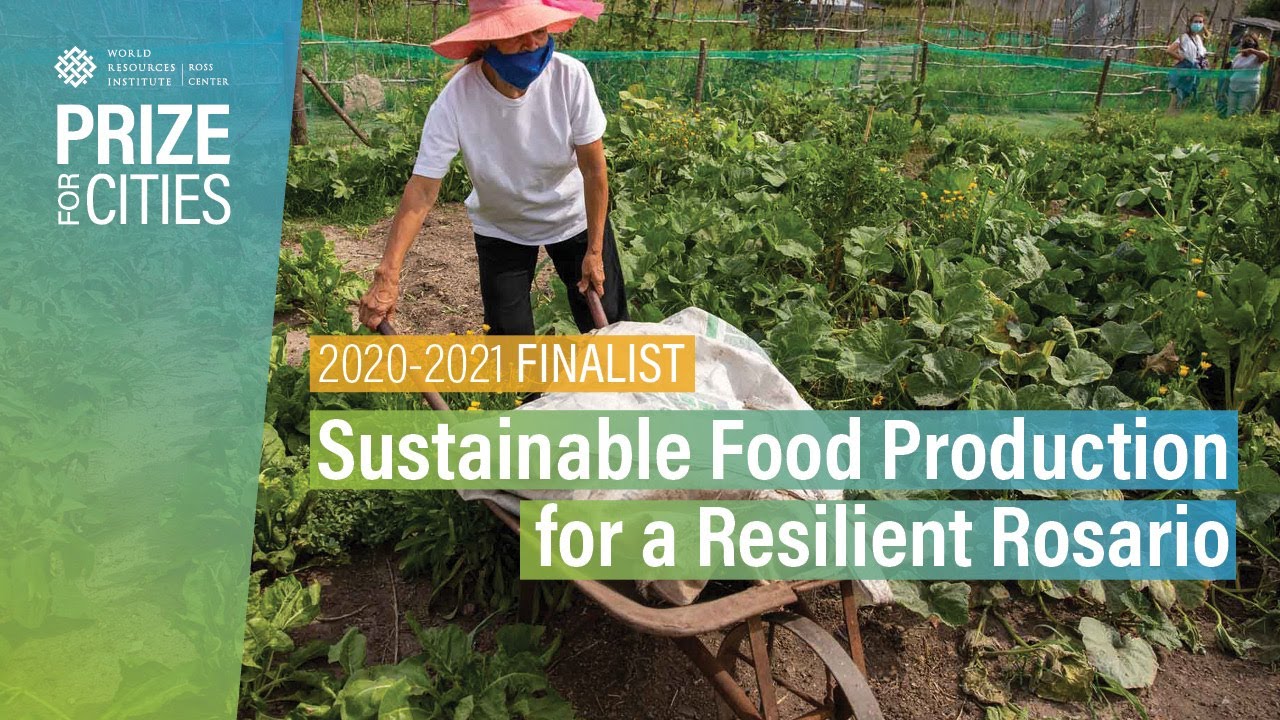 Sustainable Food Production for a Resilient Rosario | Prize for Cities 2020-2021