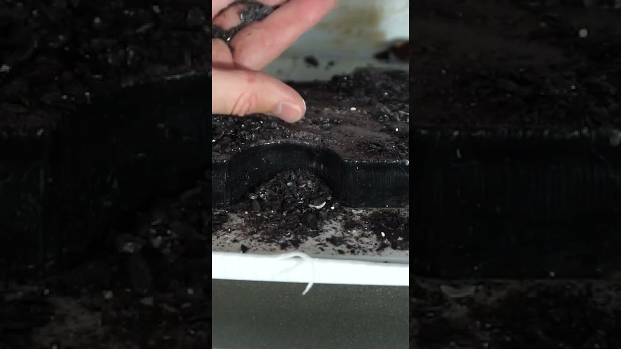 Don't Crush Obsidian