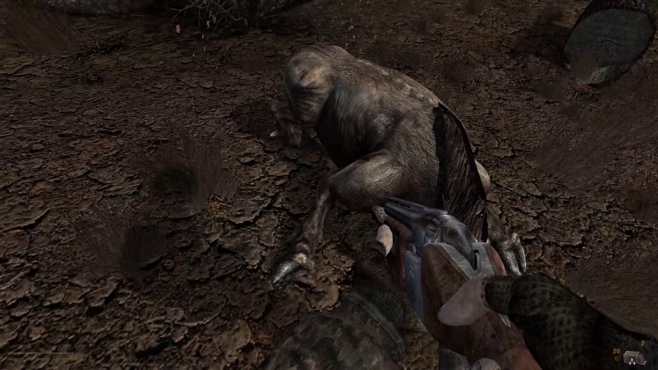 S T A L K E R:  Call of Misery - Part 1