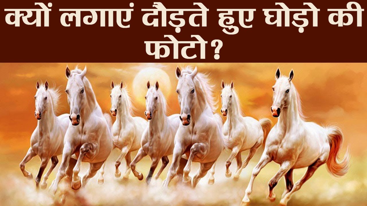 Vastu Tips: Running Horses Painting | घर पर क्यों लगाएं दौड़ते हुए घोड़ो की फोटो? | Boldsky