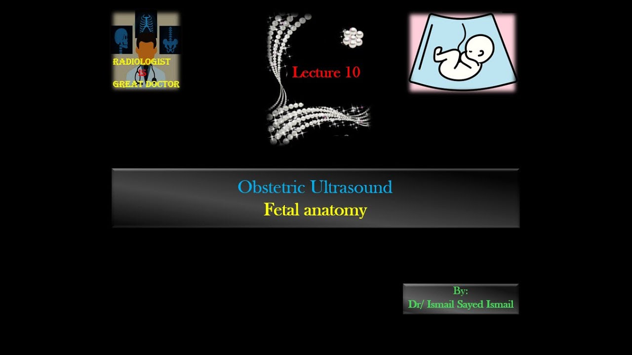 Obstetric Ultrasound -Lecture 10 -Fetal anatomy
