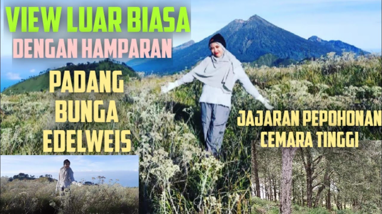PENDAKIAN BUKIT SEMPANA LOMBOK TERBARU PART 2 || BUKIT HITS LOMBOK 2022