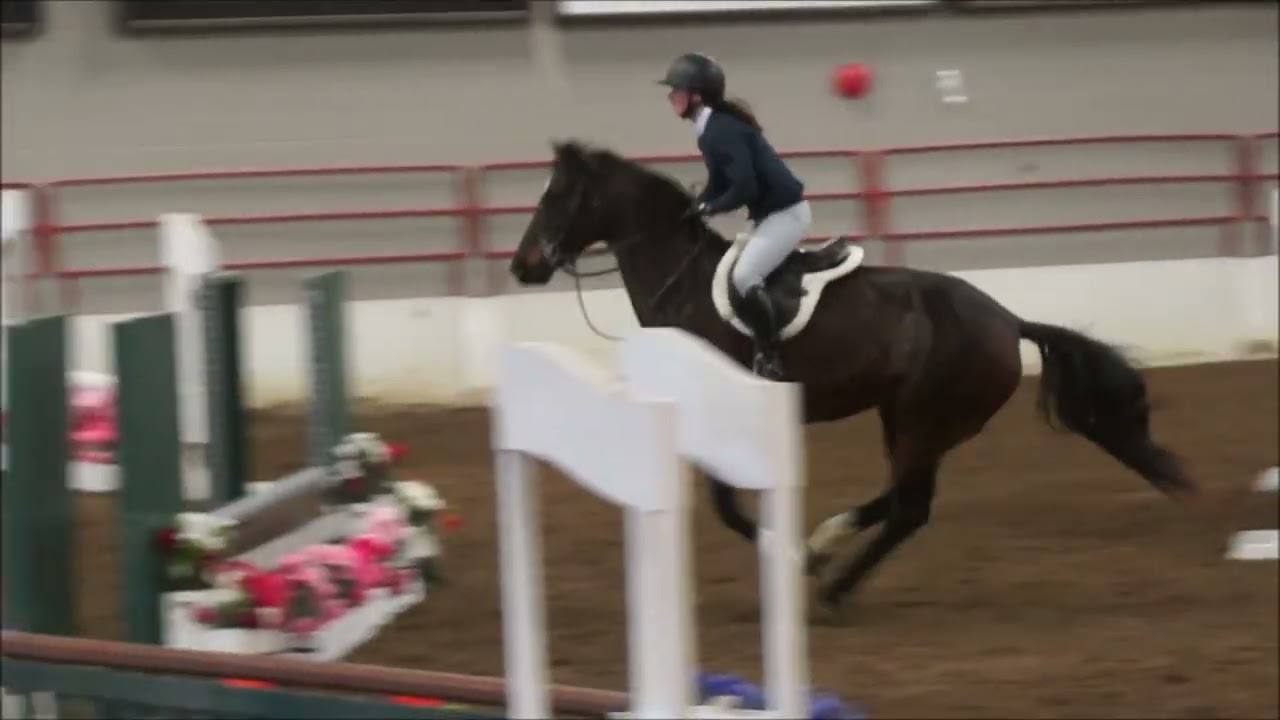 Dolce Vita K (Danse Diabolique X Lord Incipid) 1st show.