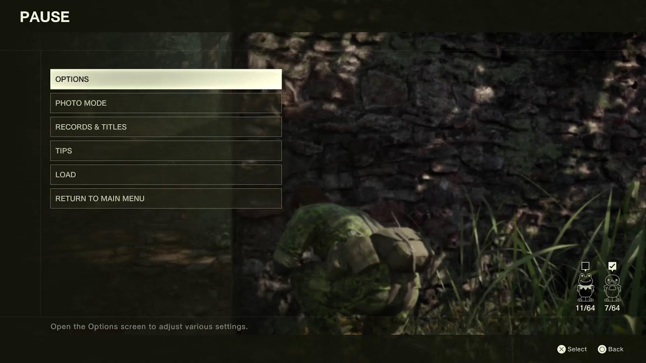 Mgs
