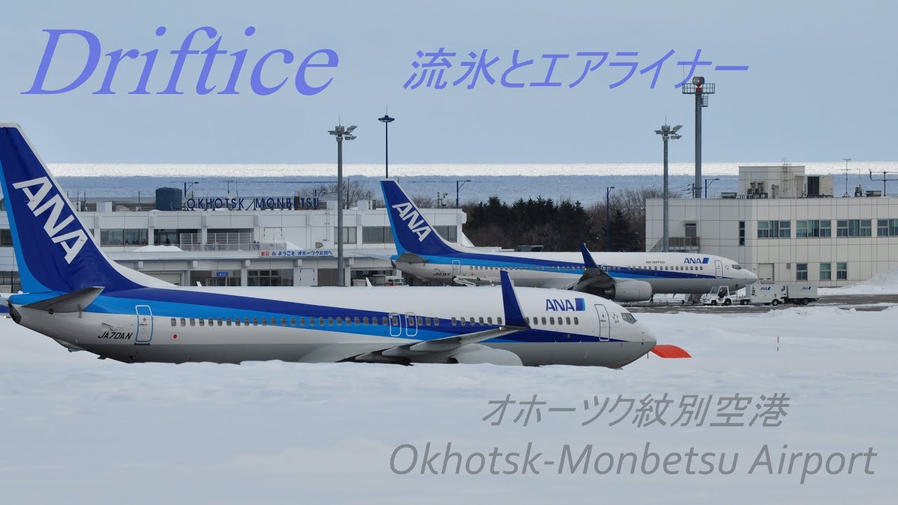 Driftice　～流氷とエアライナー　冬の紋別空港～　All Nippon Airways　Boeing737-800