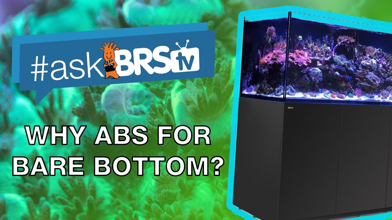 What's on the bottom of your Red Sea Reefer bare bottom tank? | #AskBRStv