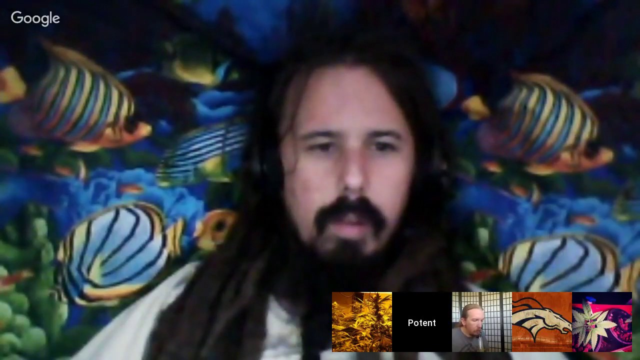 Growing With Fishes Aquaponic Cannabis Podcast Episode 47 w Hogmaster