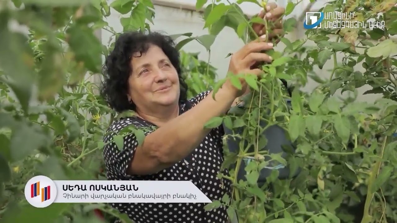 Հիմնադրամի ծրագրերը Չինարի գյուղում