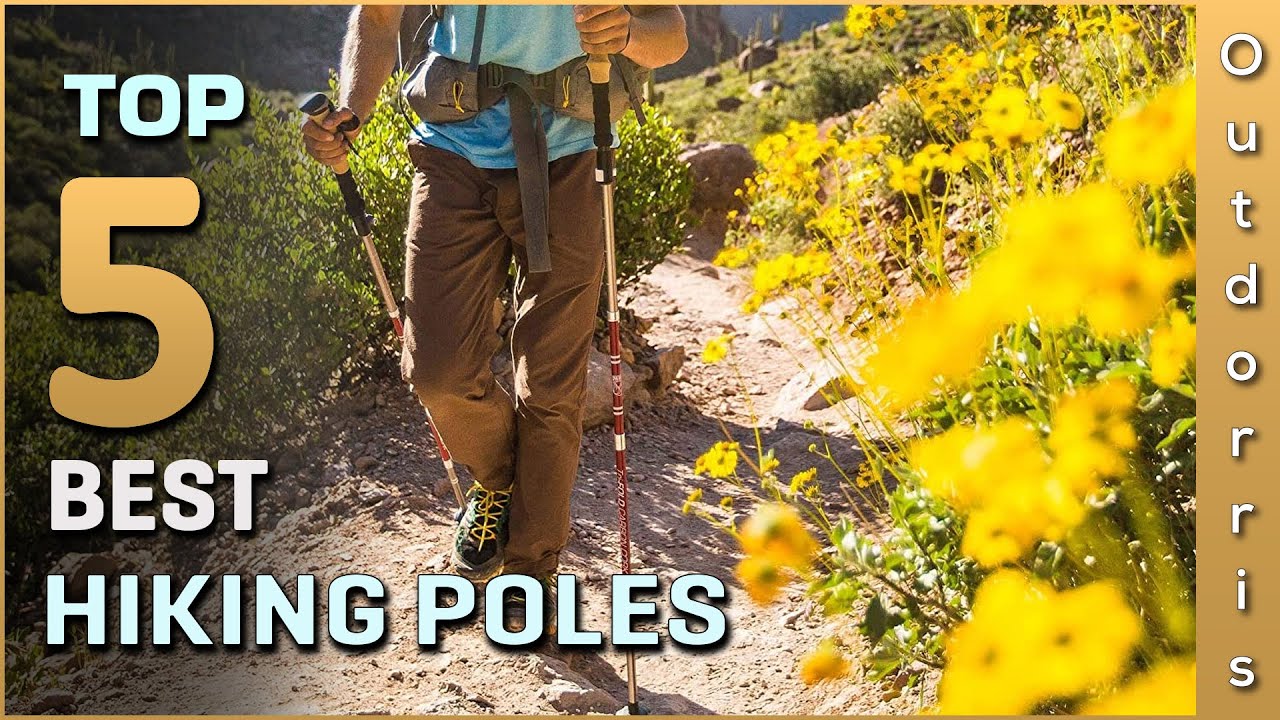 Top 5 Best Hiking Poles for men and Women in 2025 | Review and Buying Guide | Our Top Pick