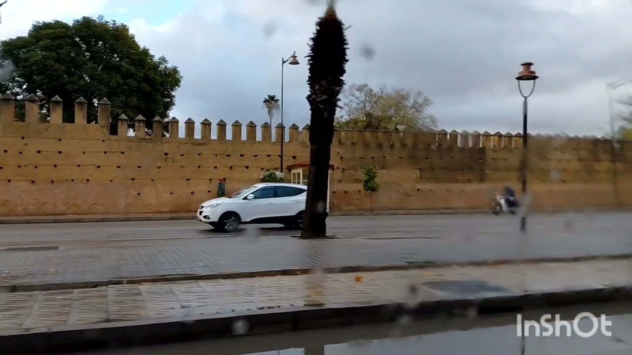 🚨يشرى تفجرها قنبلة 💣 عتقو عتقو البيتوتي خلى البقة وخلص على اولادو واخيرا البق فهم راسو 😉
