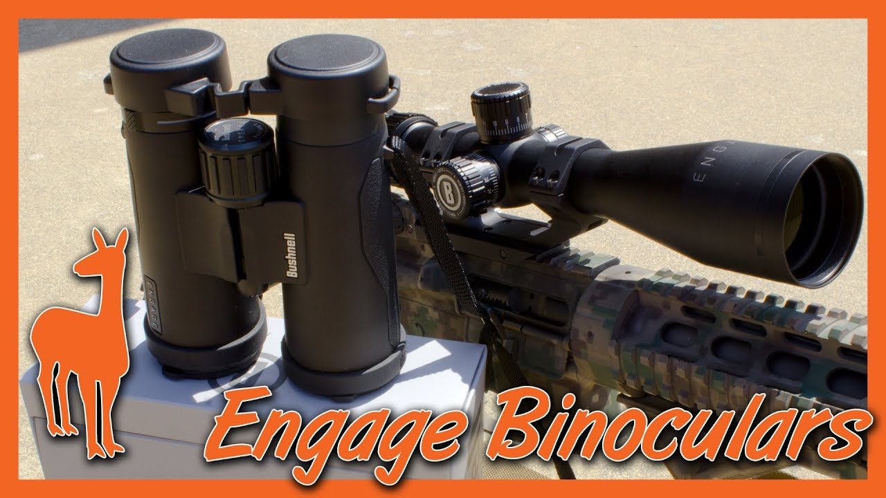 Обзор бинокля Bushnell Engage: оптика и надежность, которые значительно превосходят цену