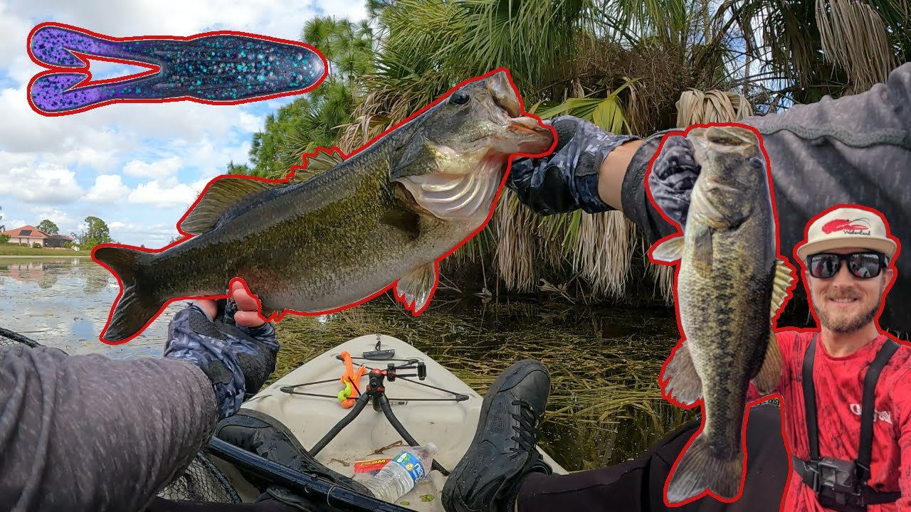 Topwater Fishing For BIG Pre spawn Bass! (Zoom Horny Toad)
