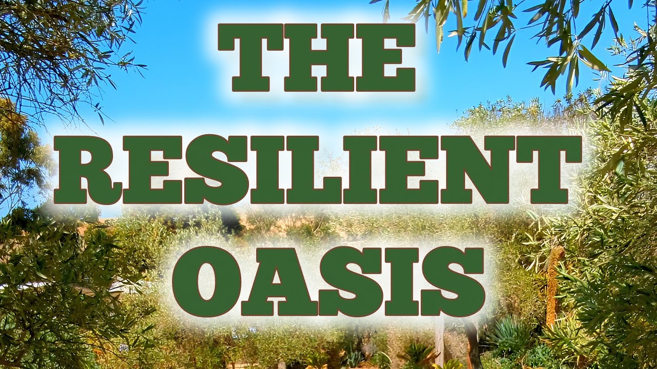 The Resilient Oasis: A Deep Dive into the Barrabool Maze Estate Gardens. @barraboolmazeestate