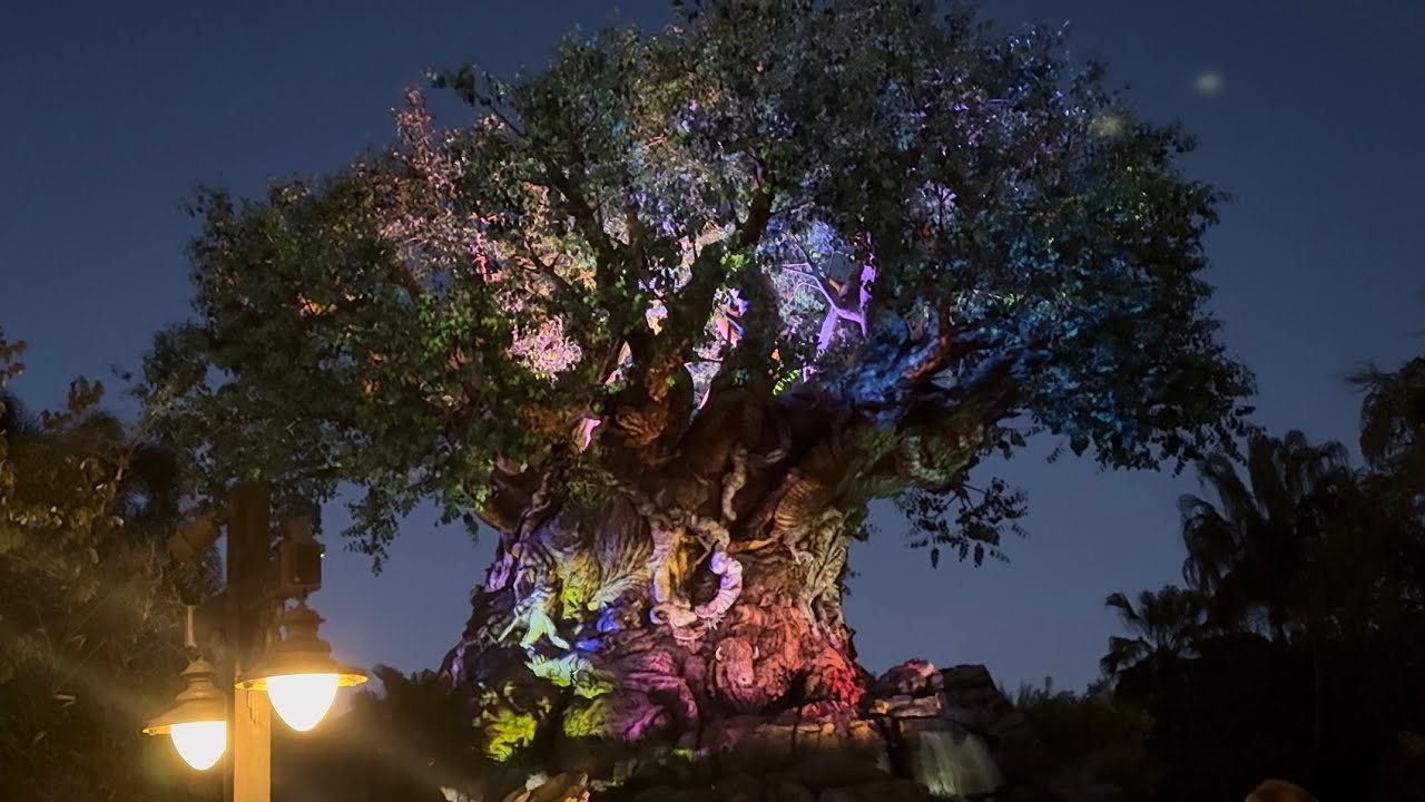 Visiting Disney’s Animal Kingdom at Night for the FIRST Time