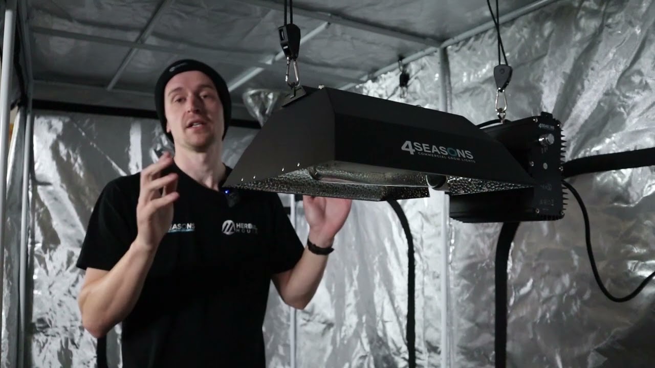 Commercial 600w HPS Grow Light | Herbal House