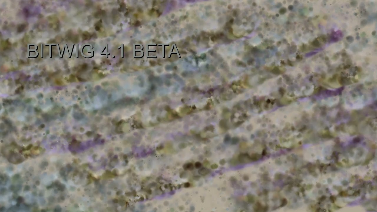 Bitwig 4.1 Beta - Randomised Ambient using new Note FX