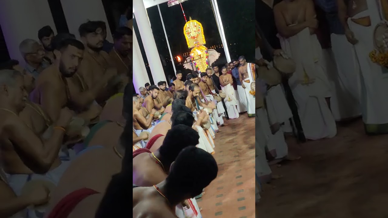 ഒറ്റപ്പാലം ഹരി ❤️ മനോഹരമായ ഒരു പതികാലം തിമിലതീറ് | Ottappalam Hari | #panchavadyam