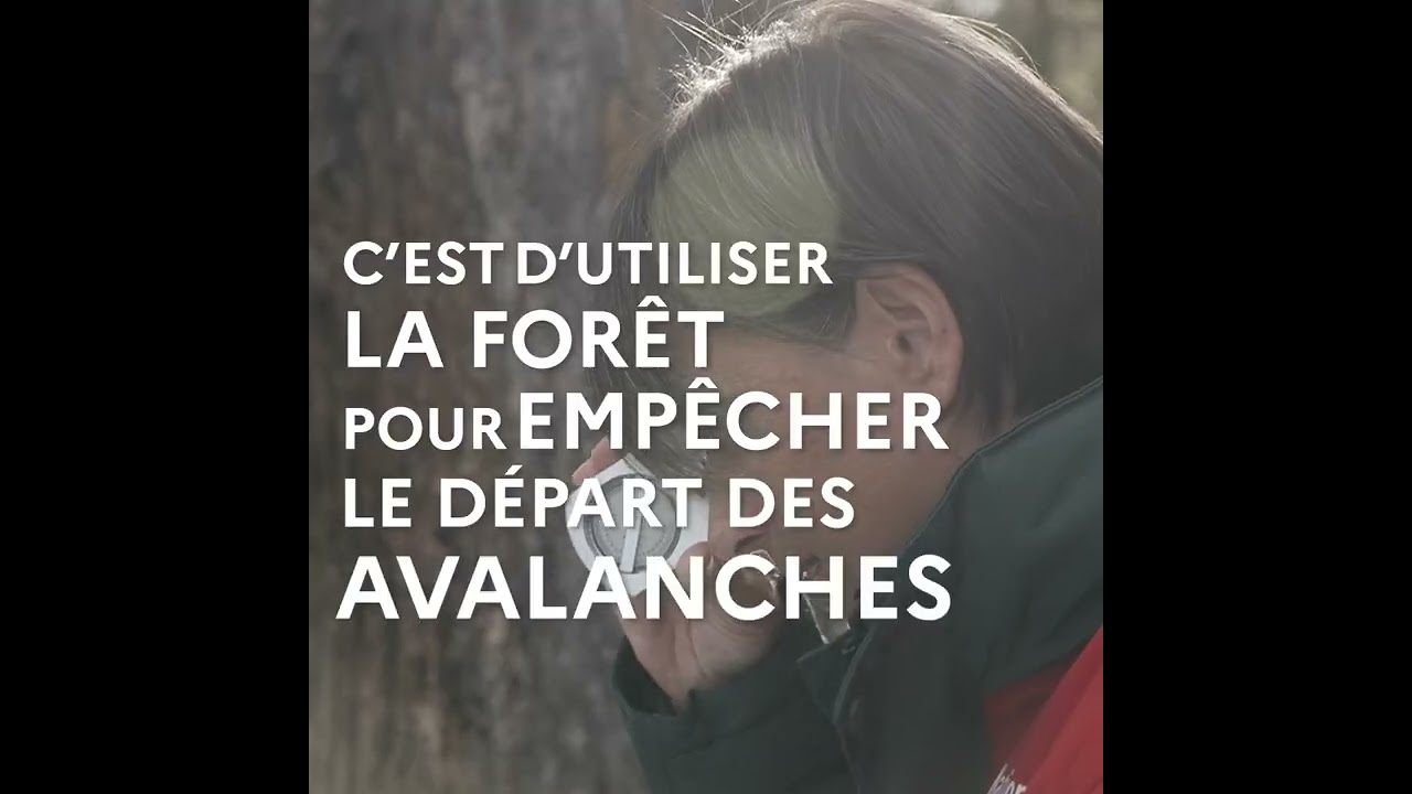 Restauration des terrains en montagne (RTM) : l'ONF en mission contre les avalanches