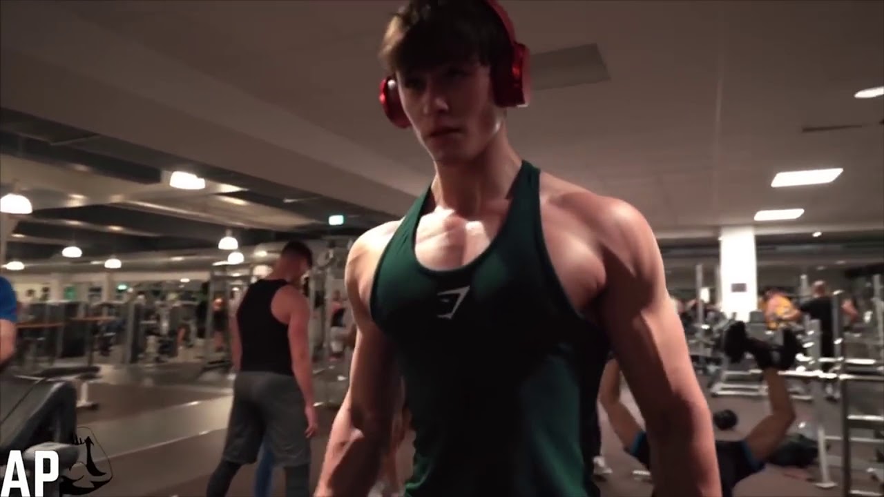 David Laid Motivation 2018