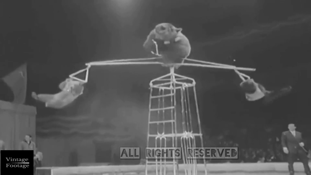 Moscow Circus | MSG, NYC |1963
