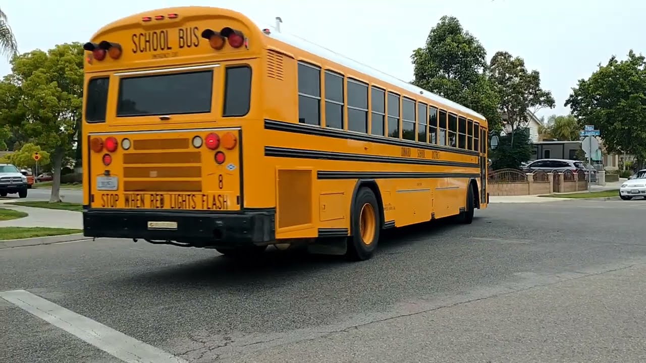 Bluebird School bus pt.2/feat.18108