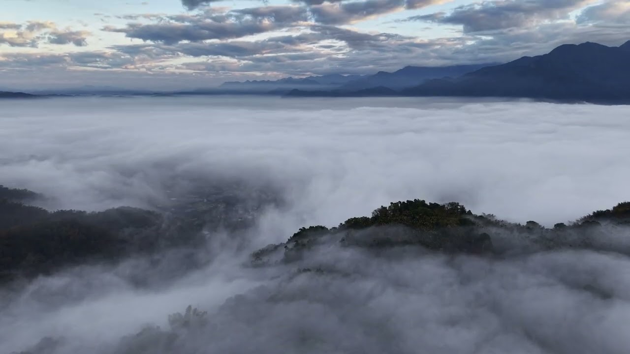 魚池山谷裡的雲海