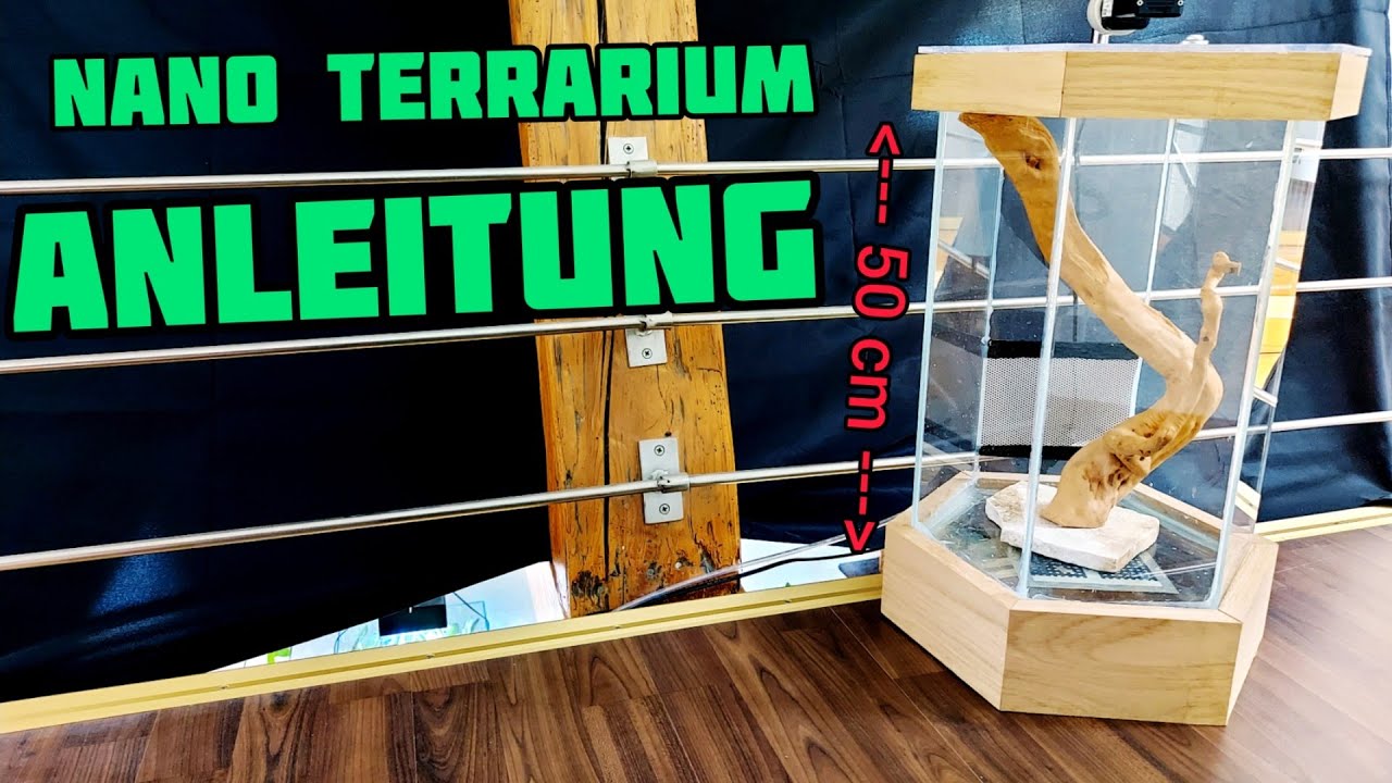 Terrarium selber Bauen mit Anleitung (Nano Sechseck-Terrarium)