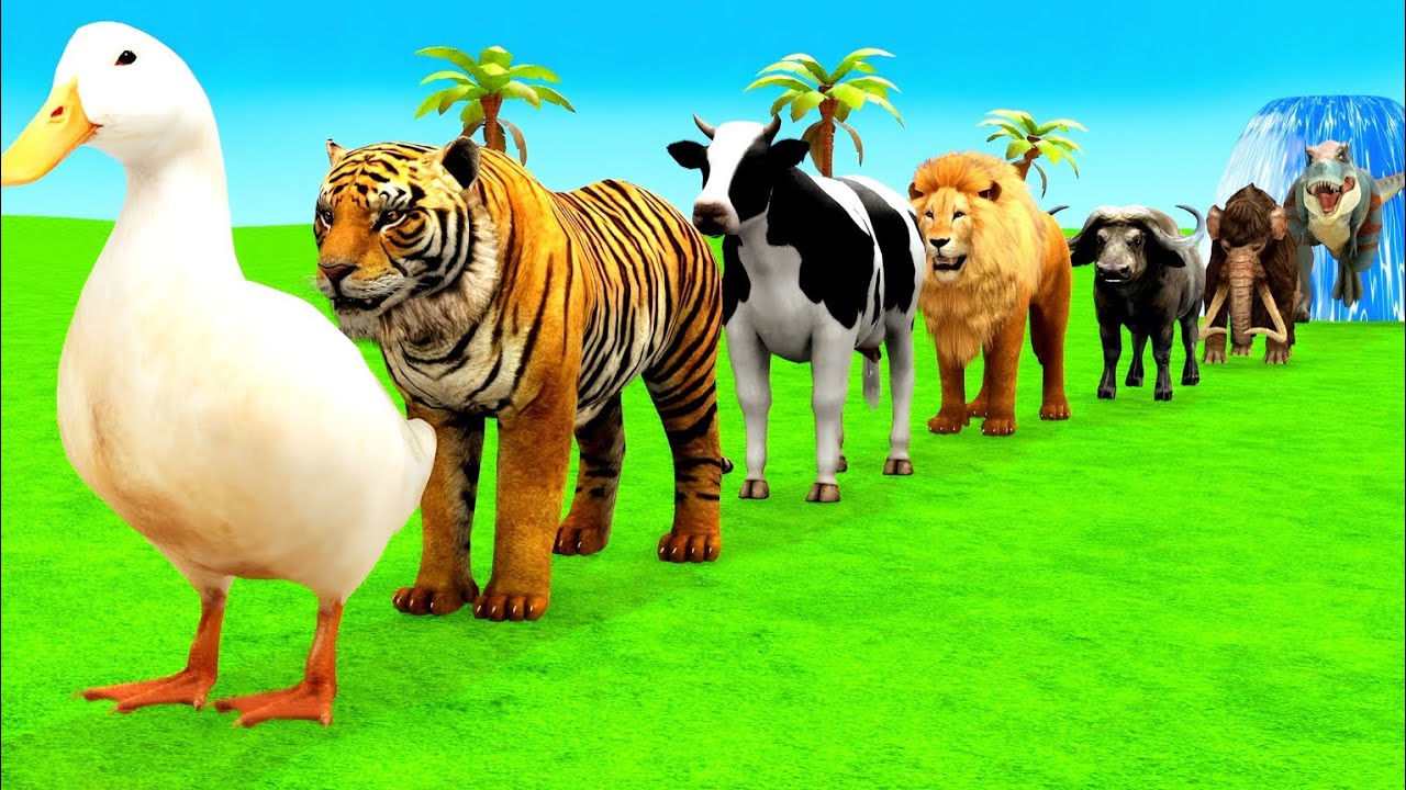 Long Slide Game With Elephant Gorilla Buffalo Hippopotamus Tiger - 3d Animal Game - Funny 3d Animal