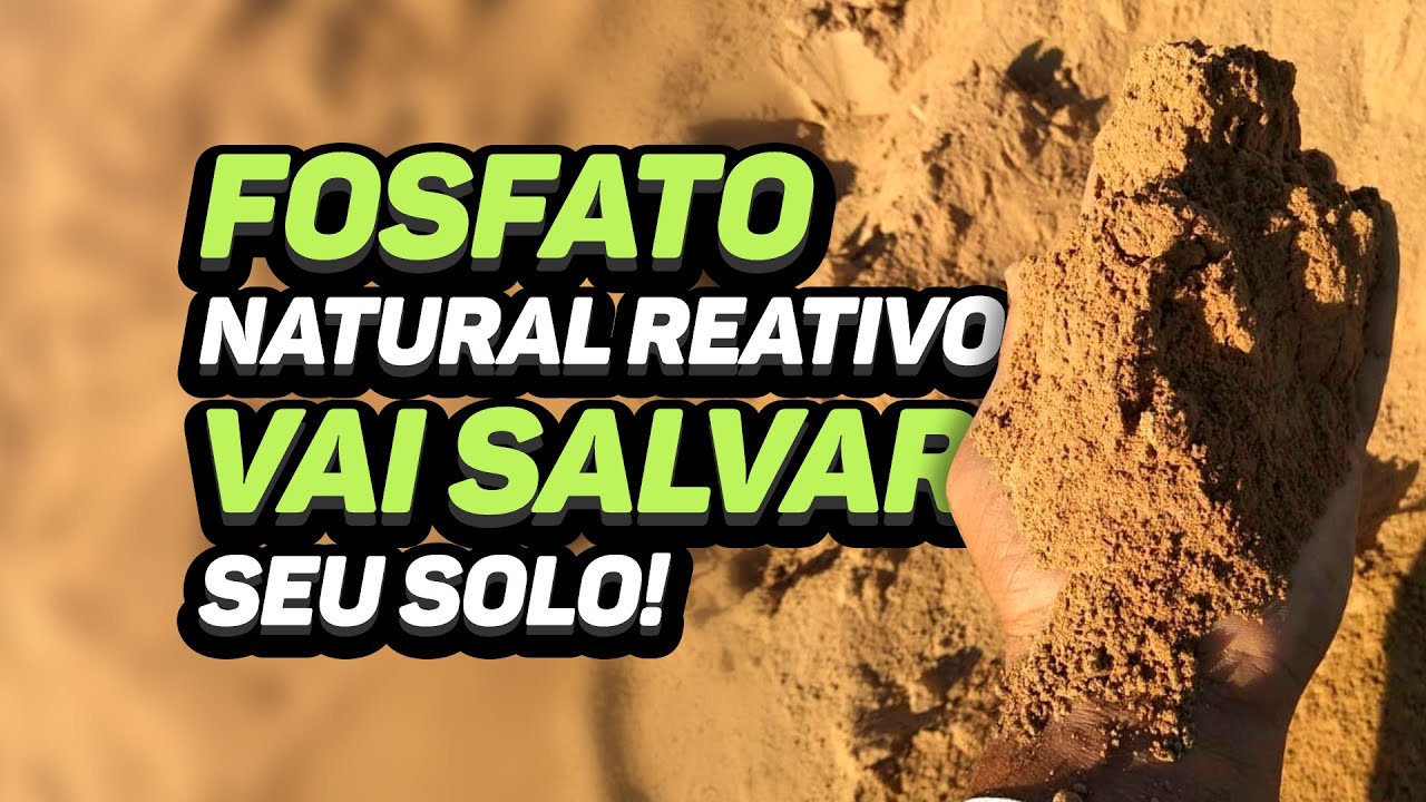 FOSFATO NATURAL REATIVO VAI SALVAR SEU SOLO