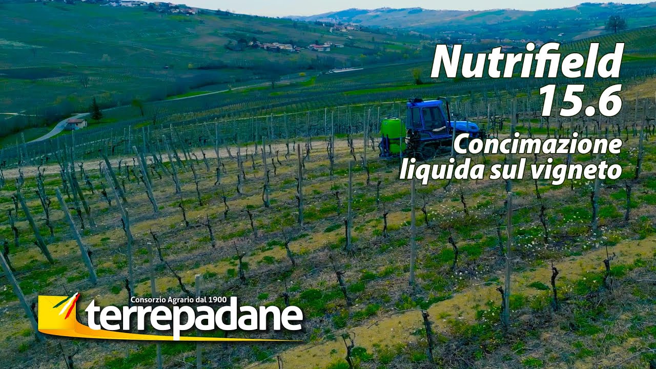 Concimazione liquida su vigneto