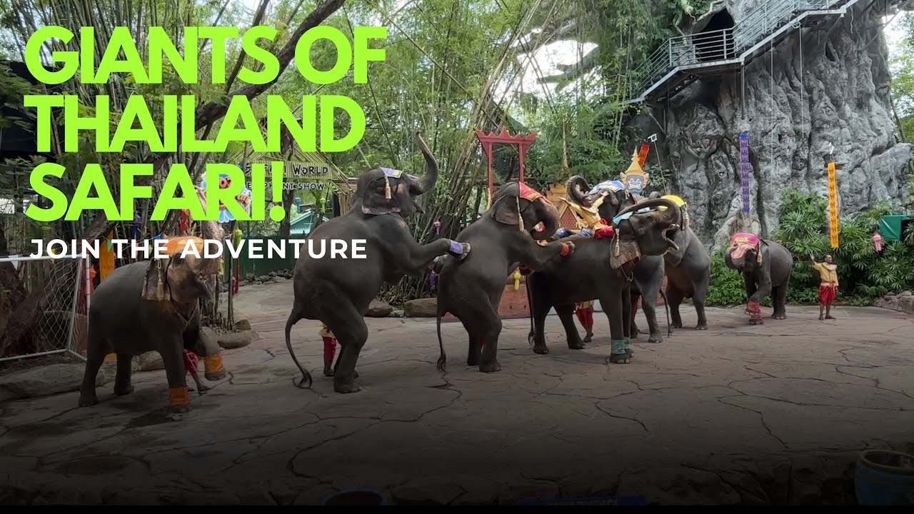 Thailand Elephant show 🐘| safar world | Bangkok #trending #youtubevideo #youtube #video #love