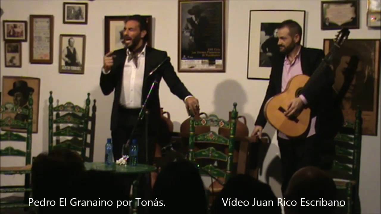 Pedro El Granaino por Tonás