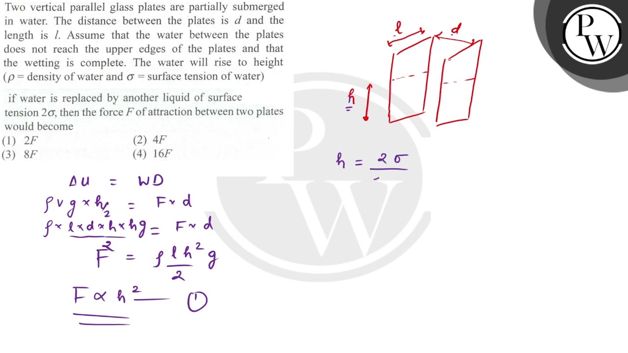 Two vertical parallel glass plates are partially submerged in water. The distance between the pl...
