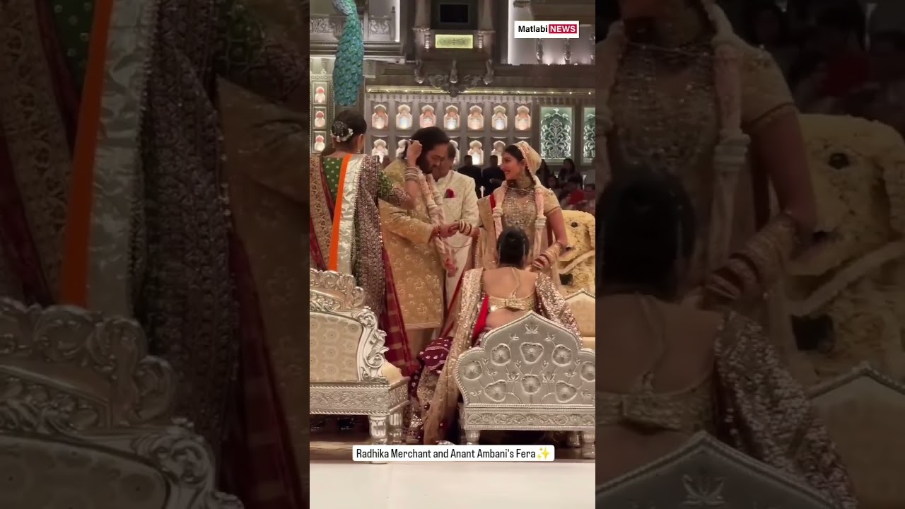 My Punganur Cows At Mukesh Ambani Son marriage celebration 🥳🥳🥳 #
