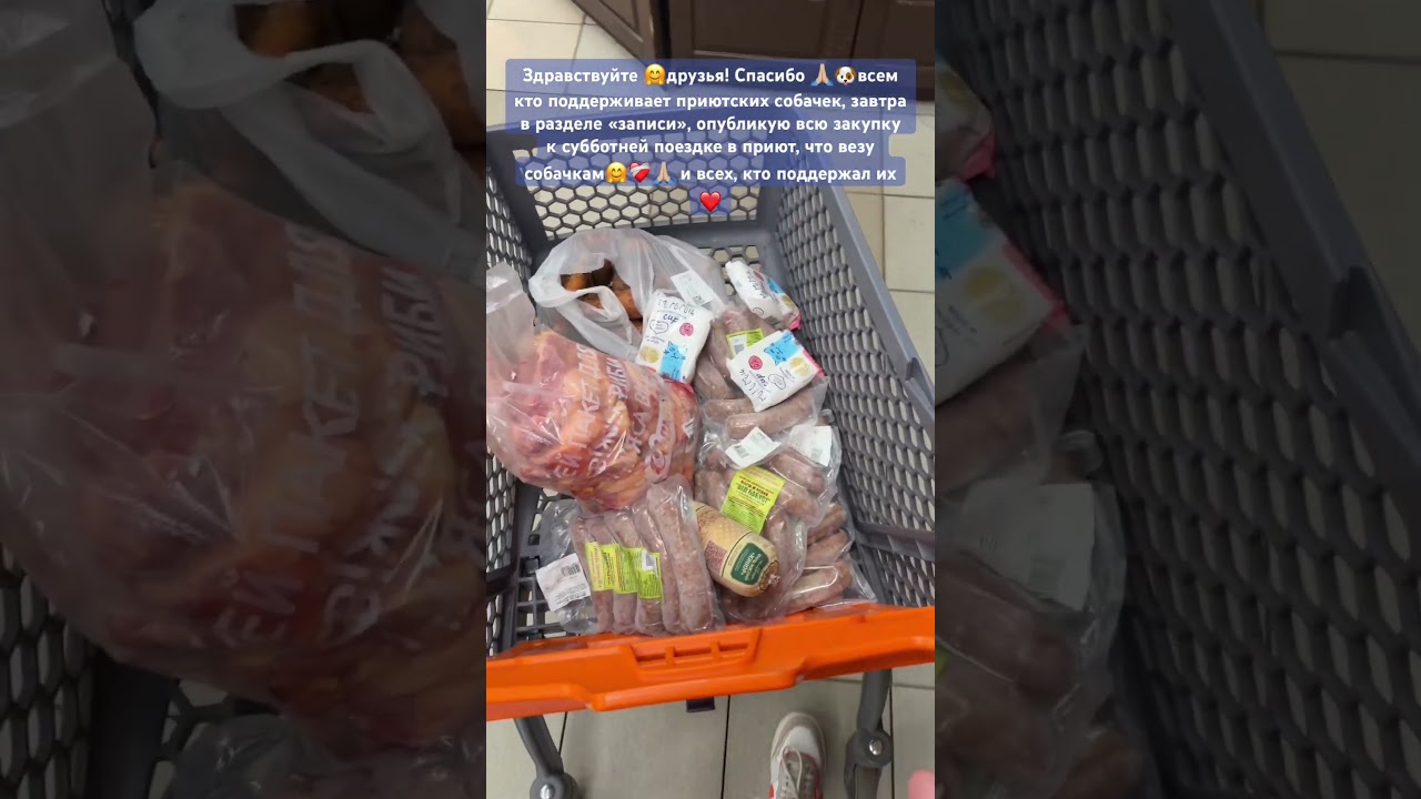 Очень соскучилась по нашим приютским ангелочкам🐶🙏🏼🤗 думаю 🤔 вы тоже&hellip;) увидимся в субботу, утром