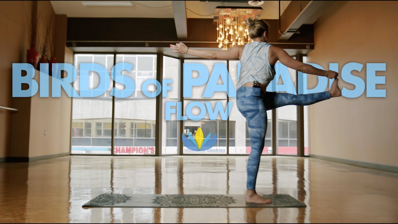 Vinyasa Yoga Practice: Bird of Paradise Flow with Jessie