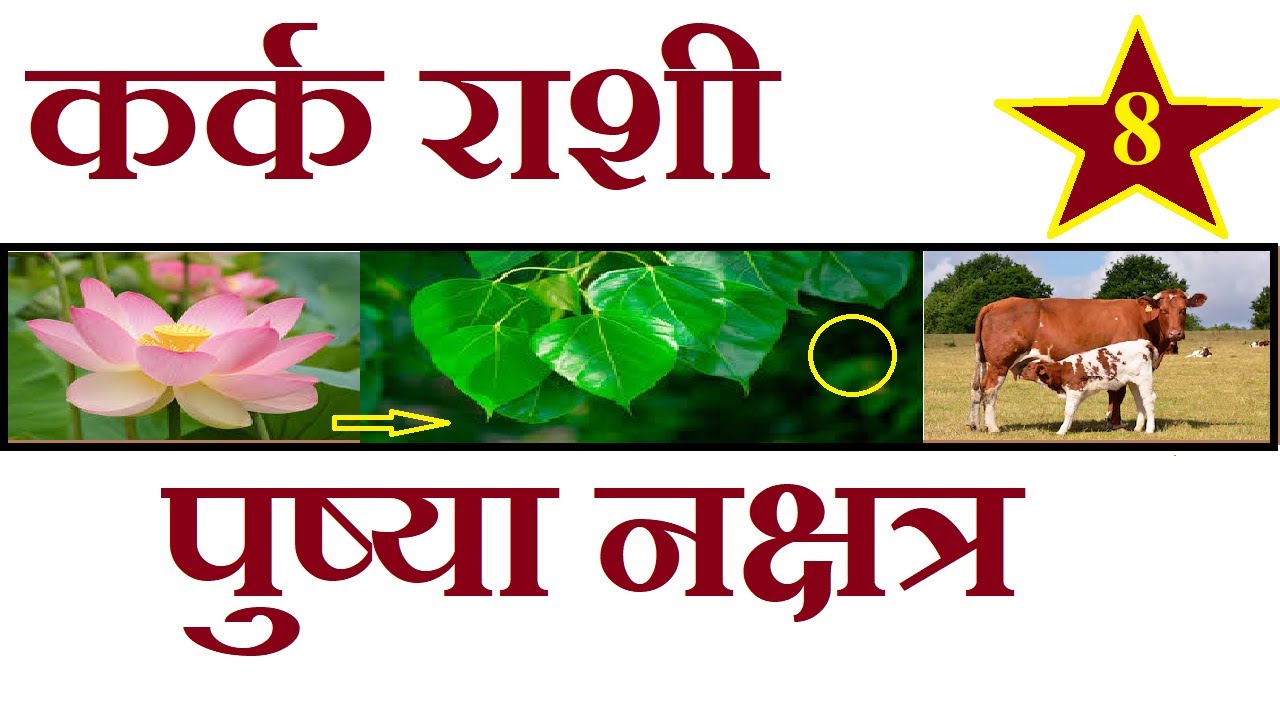 Kark Rashi & Pushya Nakshatra By Archana Bajpai