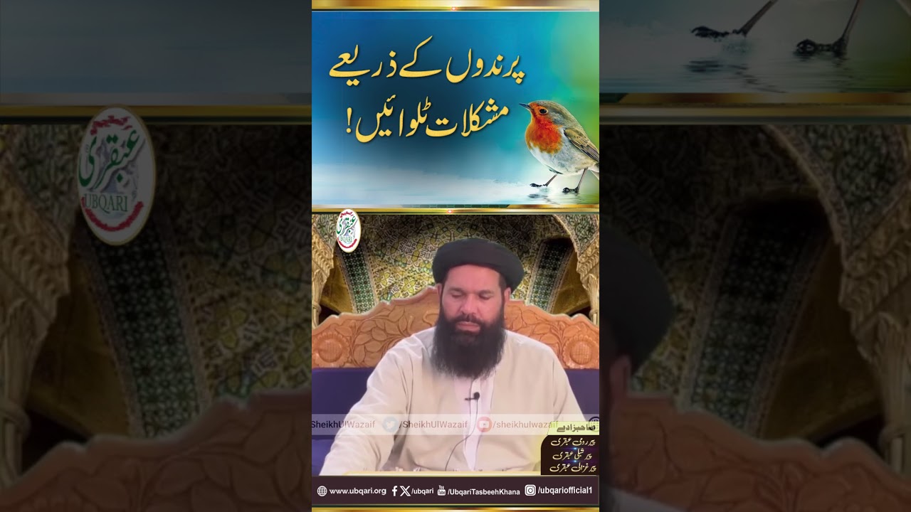Parindon Ke Zarye Mushkilat Talwain | ubqari #shortsvideo