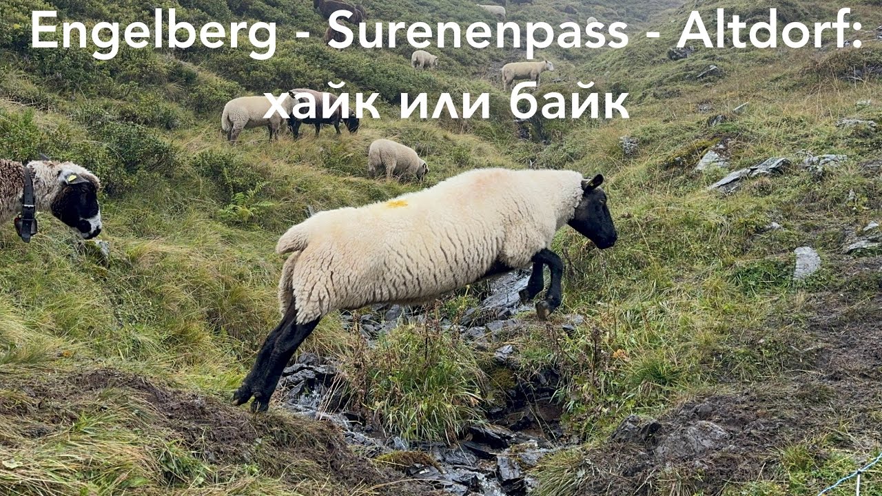 Хотел байк — получился хайк. Сурененпасс - там, где gravel не проедет 