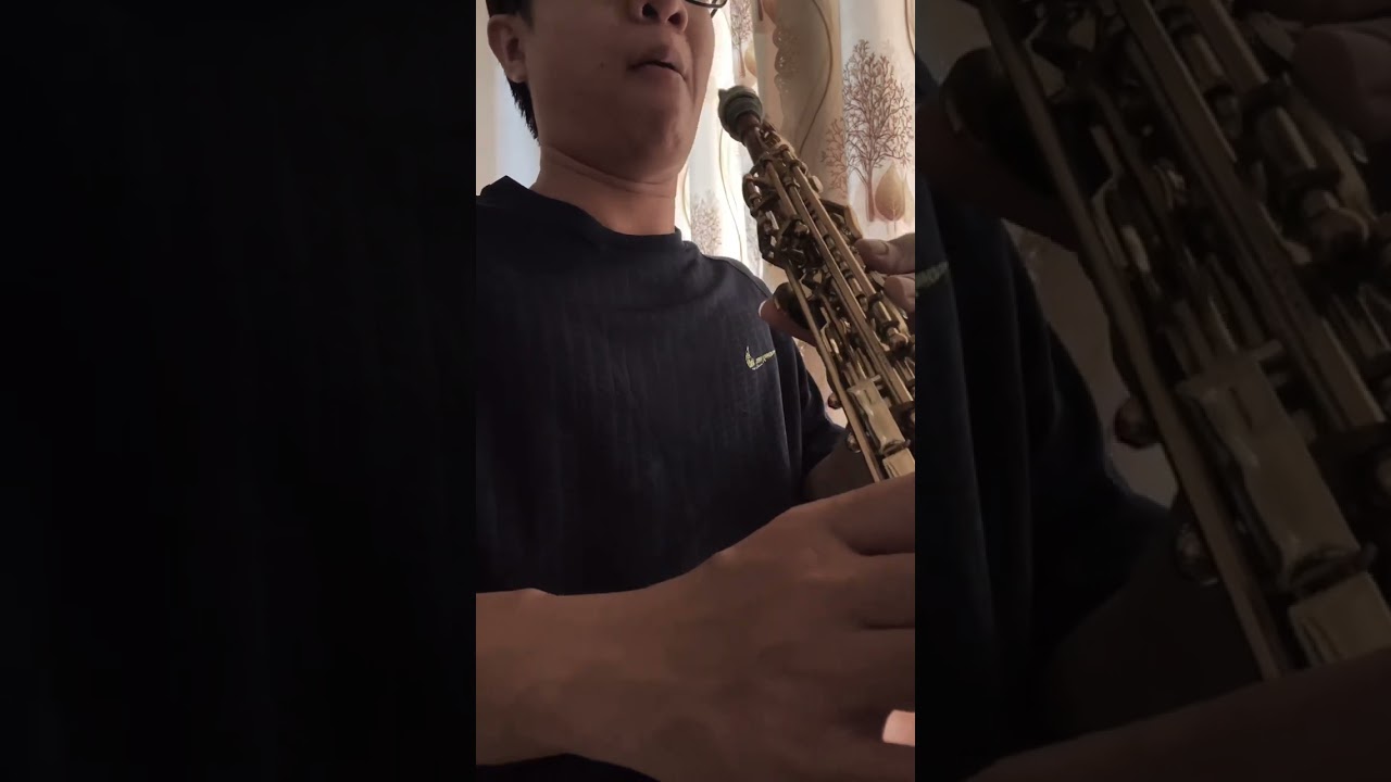 Xin Lỗi/ Nguy&ecirc;n H&agrave; - Cover by Trung Trực Saxophone