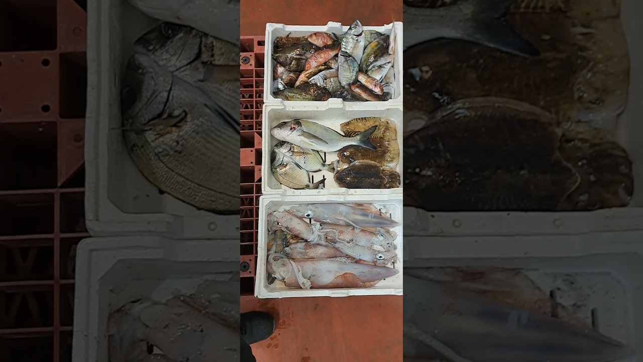 Mare di Riposto ofre il pescato pi&ugrave; saporito del mondo #amazing #fishing #fish