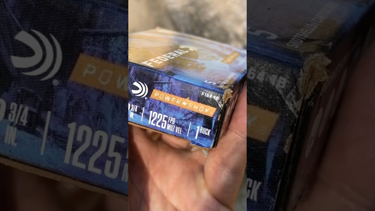 16 Gauge Buckshot For Home Defense? #shorts