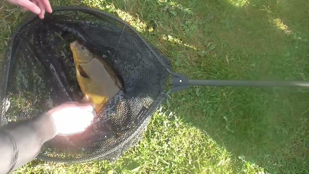 Fisherman's Info 46th Video
